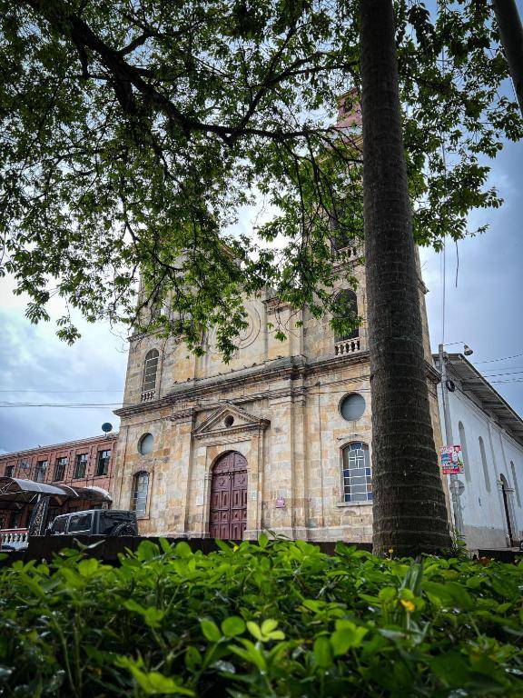 Cabañas lluvia de oro