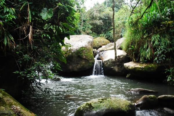 Finca Jardín del Agua