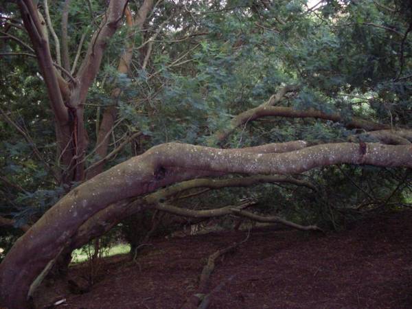 casita sopo arriba vista laguna tomine