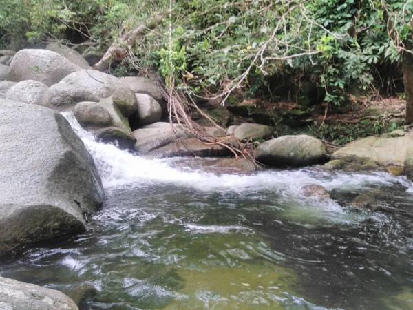 Hierba Buena Eco Hostel