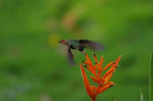 Ecohotel Yachay Tayrona