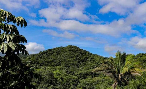 Mirador del Parque Tayrona