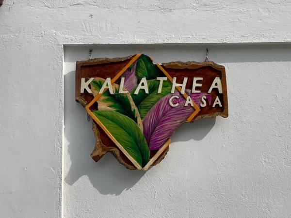 Kalathea Casa