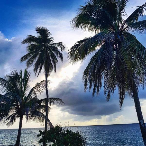 Playa Tranquilo B&B and Dive Shop