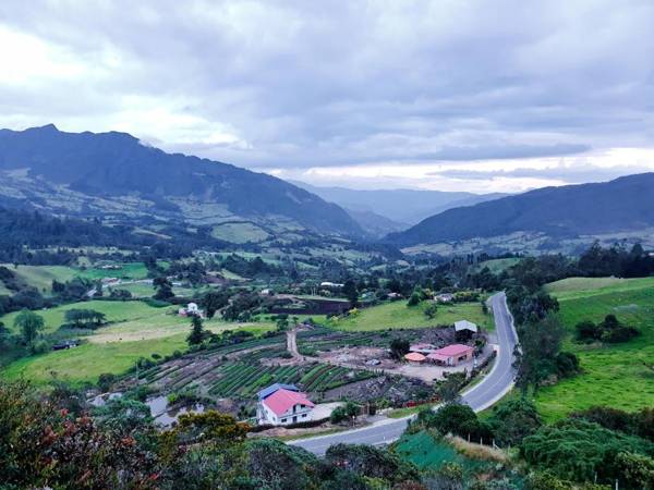 Hospedaje la cabaña 201