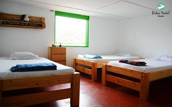 Bidea Backpackers Hostel