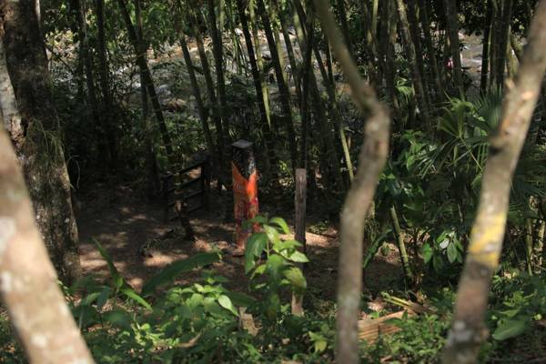 HOTEL LA SELVA Reserva