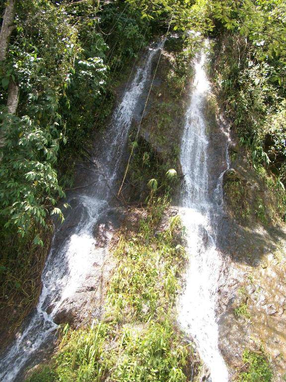 finca Las Margaritas