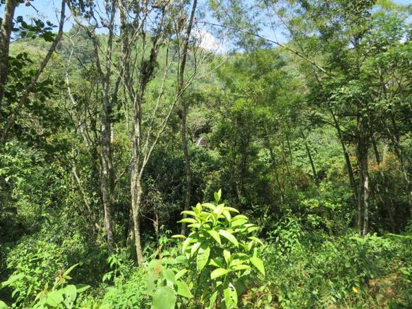 Ecoglamping Reserva Natural Paraíso Andino