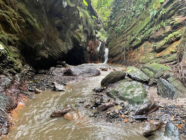 Jaragual Hostel Natural