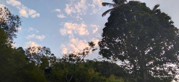 Hotel Boutique Rossé