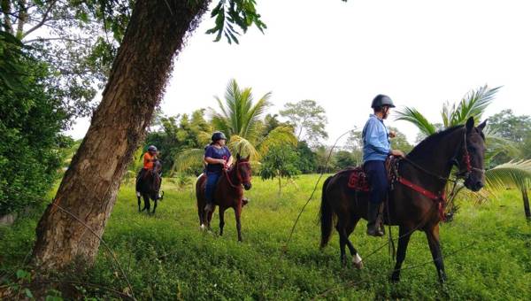 Complejo Turistico Navar City