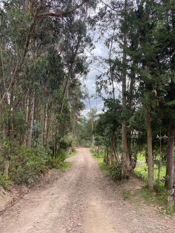 Romántica Cabaña con vista a la ciudad 10 min del Centro