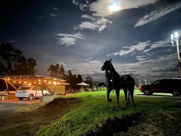 Acogedor y moderno Glamping en container 10 min del centro