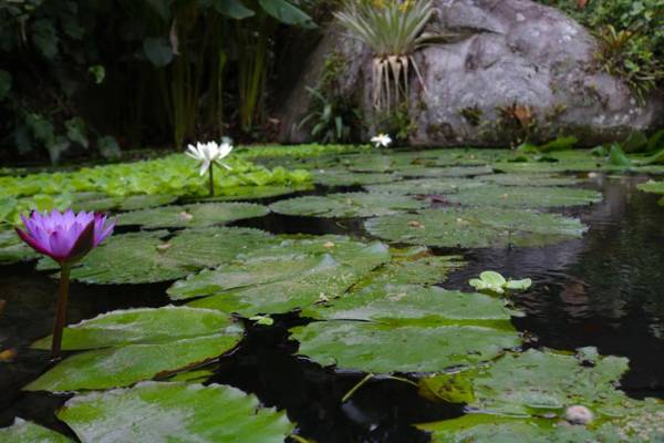 Hotel de Montaña El Pelicano