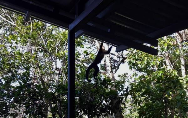 Above the Gulf Vacation House