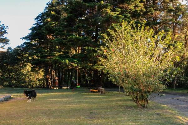 Moon Forest Apartments