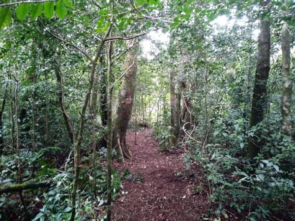 Cabañas La Montaña Chalet