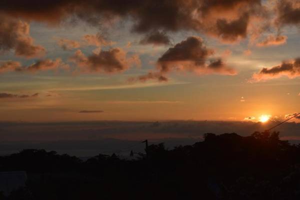 MapleTico Guesthouse