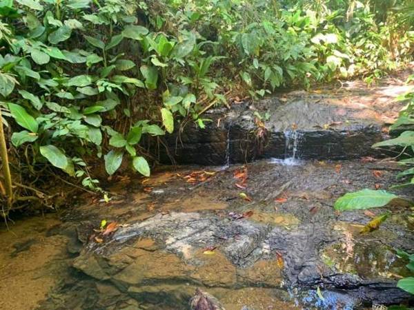 Private jungle “Loft del Rio” river access