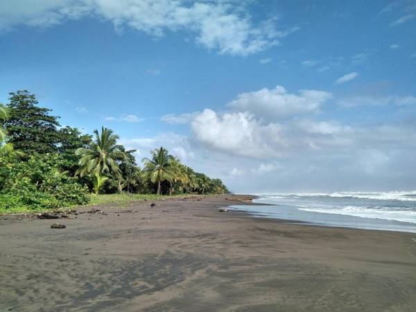 Paisajes del Tortuguero (On The Beach and Town Center)