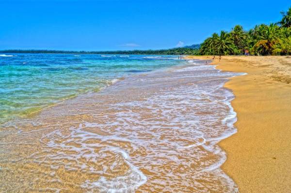 Physis Caribbean Bed & Breakfast