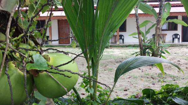 Cabinas Yucca