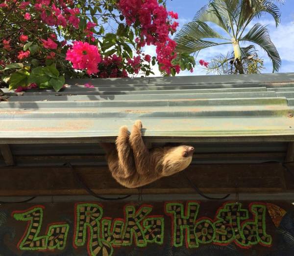 La Ruka Hostel
