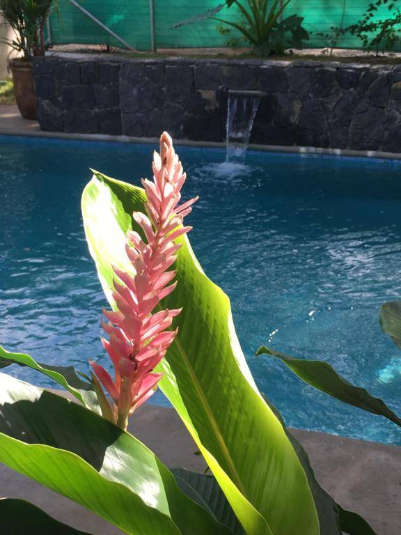 Casa Columbine Vacation Home