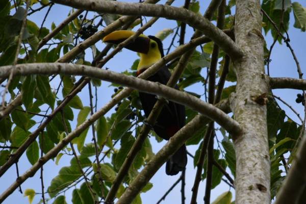 Hotel Roca Negra Del Arenal