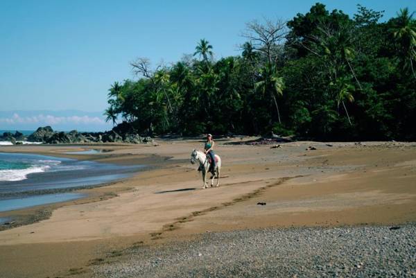 Copa De Arbol Beach & Rainforest Resort