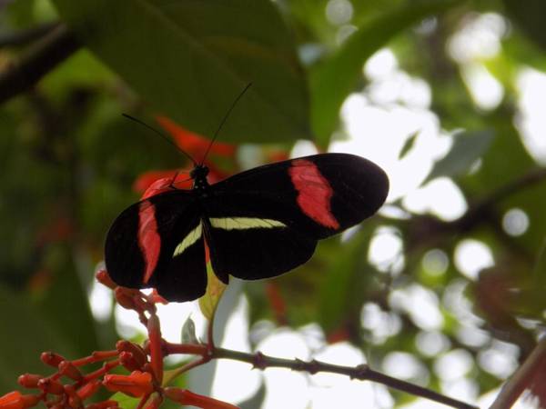 Jardin entre Montañas