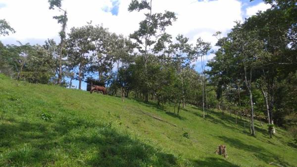 Santa Maria Volcano Lodge