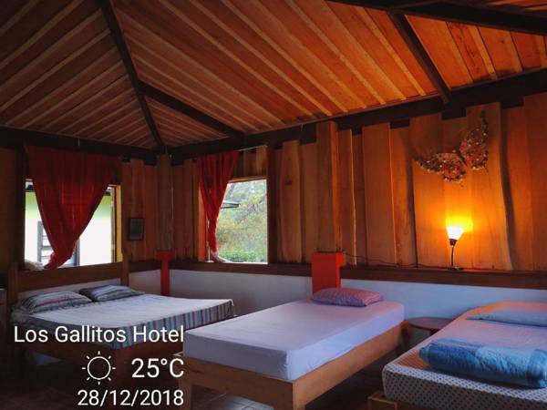 Los Gallitos Eco Lodge