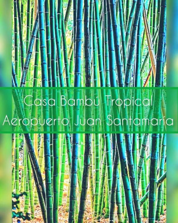Casa Bambú Tropical