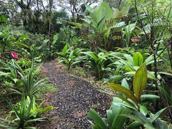 Garza del Sol Glamping Río Celeste Buganvilia
