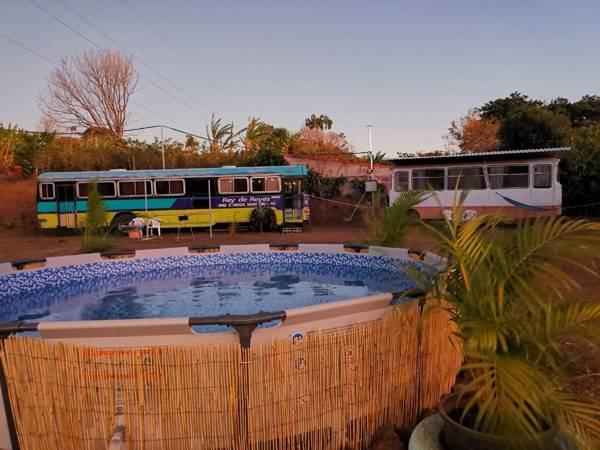 Dreamcatcher House Bus Experience