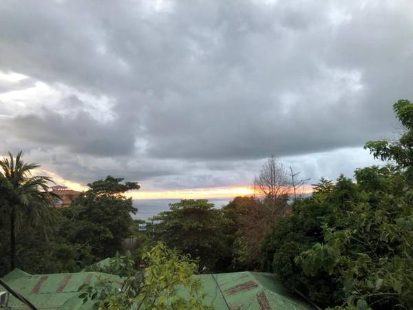 Cockatoo Studio Apartments