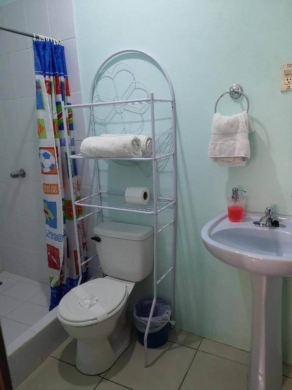 Blue Morpho House B&B