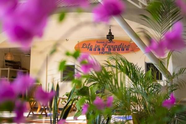 Zulu Surf Hotel Tamarindo