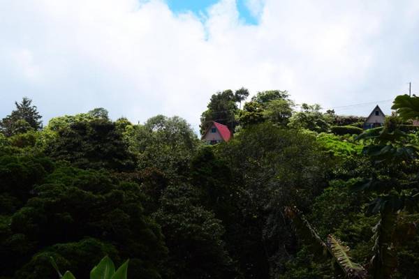 Reserva Natural Cerro Alto