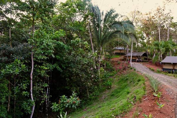 El Pulpo Safari Lodge