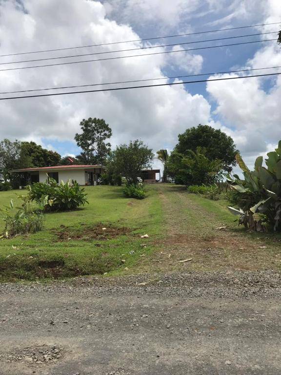 La Piña Rio Celeste