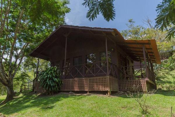 Hospedaje La Naciente