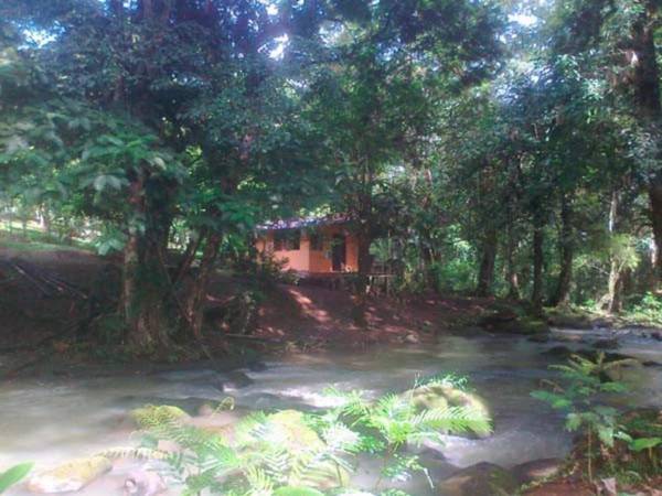 Vanilla Jungle Lodge - Rainforest Waterfall Garden