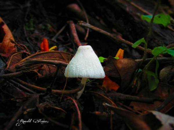 Posada Cerro Escondido