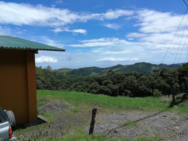 Monteverde Monte Green