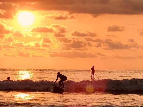 Surf Synergy Surf Camp