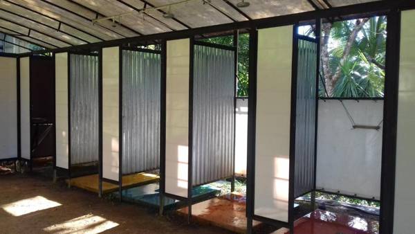 Bolita Rainforest Hostel and Cabinas