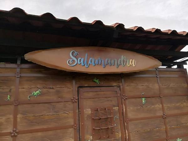 Salamandra Costa Rica